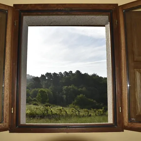 Ribeira Sacra Ii - Ourense Holiday home *